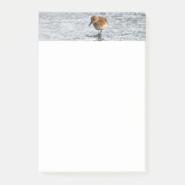 Sandpiper Bird Foto Stationery 4x6 Opmerkingen Post-it® Notes