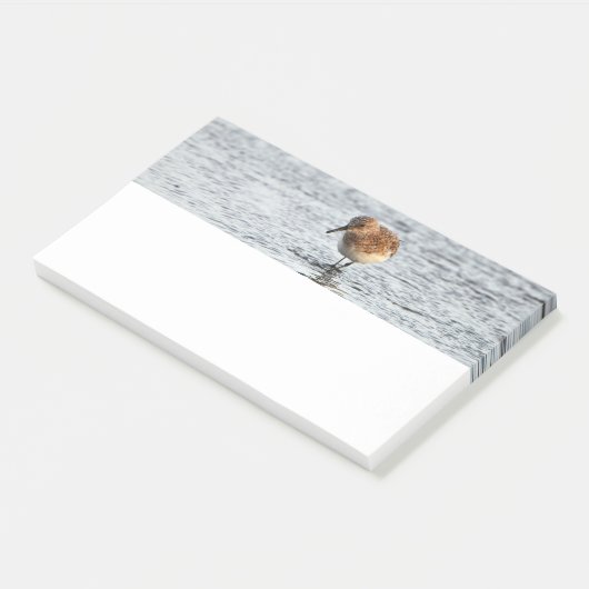 Sandpiper Bird Foto Stationery Note Pad (Schuin)