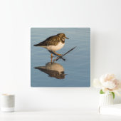 Sandpiper Bird Photo Reflection Ocean Clock Vierkante Klok (Huis)