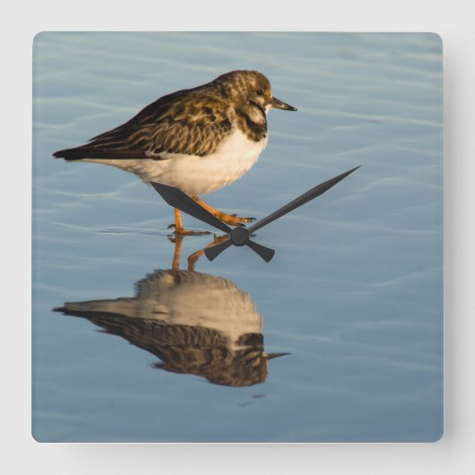 Sandpiper Bird Photo Reflection Ocean Clock Vierkante Klok (Voorkant)