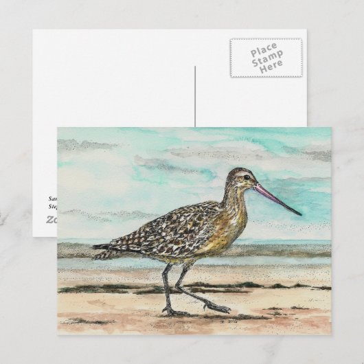 Sandpiper Briefkaart (Voorkant / Achterkant)