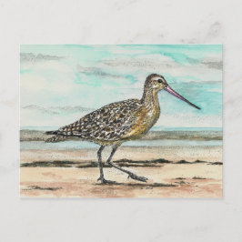 Sandpiper Briefkaart
