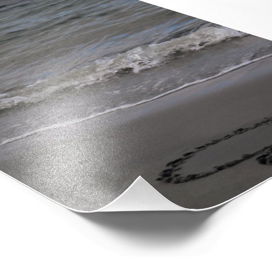 Sandpiper in Love Foto Afdruk (Hoek)