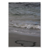 Sandpiper in Love Foto Afdruk (Voorkant)