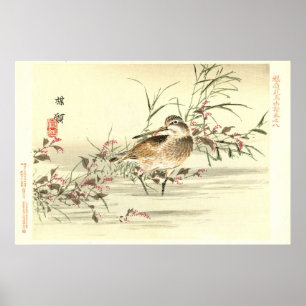 Sandpiper in water Japanse oosterse kunst Poster