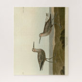 Sandpiper met lange poten - Amerikaanse vogels van Legpuzzel (Verticaal)