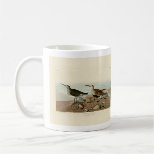 Sandpiper met rode ruggen - Amerikaanse vogelvogel Koffiemok