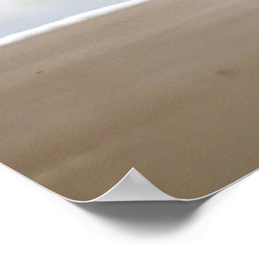 Sandpiper met twee zanderlings op de strand 16x20 poster (Hoek)