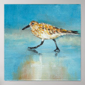 Sandpiper Noord-Amerikaanse Wading Art Print (Voorkant)