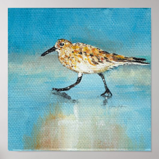 Sandpiper Noord-Amerikaanse Wading Art Print (Voorkant)