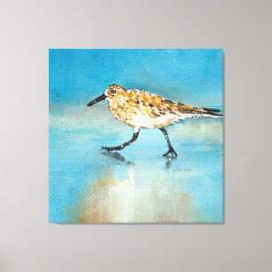Sandpiper North American Wading Shorebird Canvas Afdruk