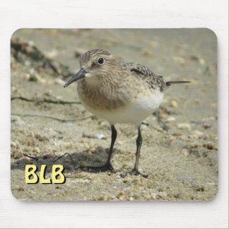 Sandpiper op strand met Muismat initialen