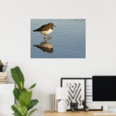 Sandpiper op waterdruk poster (Thuiskantoor)