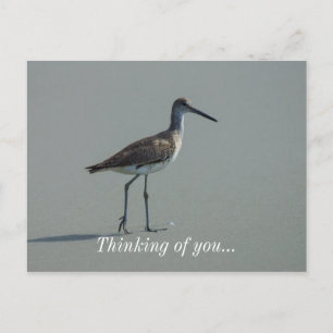 Sandpiper Pose Briefkaart