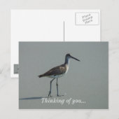 Sandpiper Pose Briefkaart (Voorkant / Achterkant)