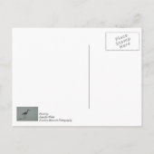 Sandpiper Pose Briefkaart (Achterkant)