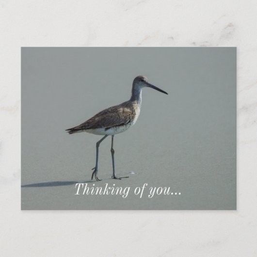 Sandpiper Pose Briefkaart (Voorkant)