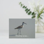 Sandpiper Pose Briefkaart (Staand voorkant)