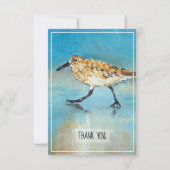 Sandpiper Shorebird Coastal Beach Hartelijk dank Bedankkaart (Voorkant)