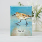Sandpiper Shorebird Coastal Beach Hartelijk dank Bedankkaart (Staand voorkant)
