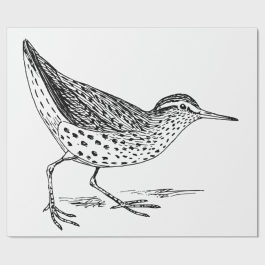 Sandpiper Shorebird Thunder_Cove Cadeaupapier (Vlak)