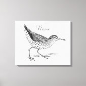 Sandpiper Shorebird Thunder_Cove Canvas Afdruk (Voorkant)