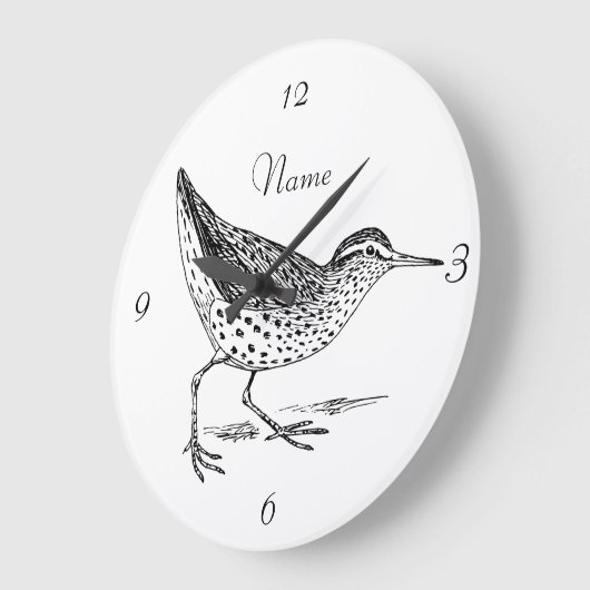 Sandpiper Shorebird Thunder_Cove Grote Klok (Hoek)