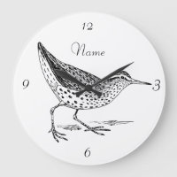 Sandpiper Shorebird Thunder_Cove