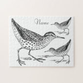 Sandpiper Shorebird Thunder_Cove Legpuzzel (Horizontaal)