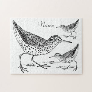 Sandpiper Shorebird Thunder_Cove Legpuzzel