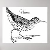 Sandpiper Shorebird Thunder_Cove Poster (Voorkant)