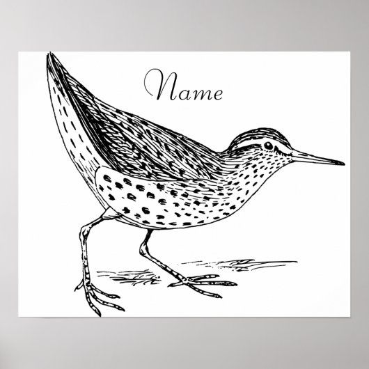 Sandpiper Shorebird Thunder_Cove Poster (Voorkant)