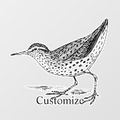 Sandpiper Shorebird Thunder_Cove Raamsticker (Vel)
