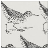 Sandpiper Shorebird Thunder_Cove Stof (Close Up)