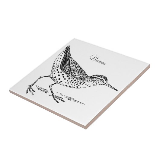 Sandpiper Shorebird Thunder_Cove Tegeltje (Zijkant)