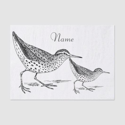 Sandpiper Shorebird Thunder_Cove Tissuepapier (Voorkant)