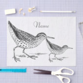 Sandpiper Shorebird Thunder_Cove Tissuepapier (Craft)