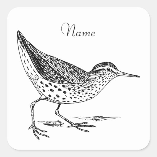 Sandpiper Shorebird Thunder_Cove Vierkante Sticker (Voorkant)
