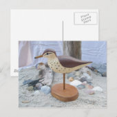 Sandpiper "Slick" Woodcarving Briefkaart (Voorkant / Achterkant)