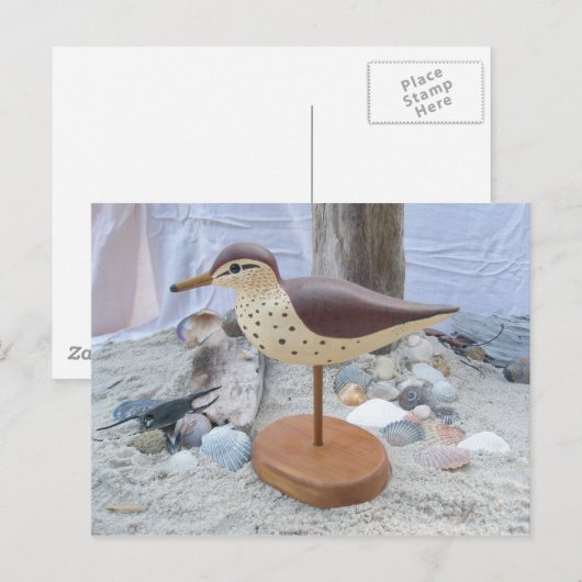 Sandpiper "Slick" Woodcarving Briefkaart (Voorkant / Achterkant)