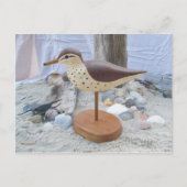 Sandpiper "Slick" Woodcarving Briefkaart (Voorkant)