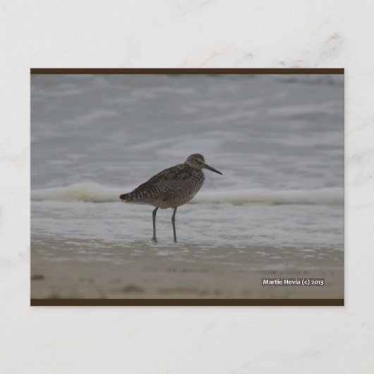 Sandpiper V | Blue Beach Song™-Briefkaart Briefkaart (Voorkant)