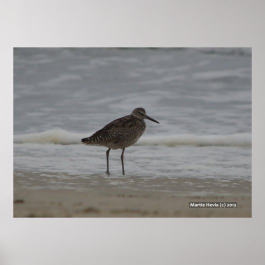Sandpiper V Poster (Voorkant)
