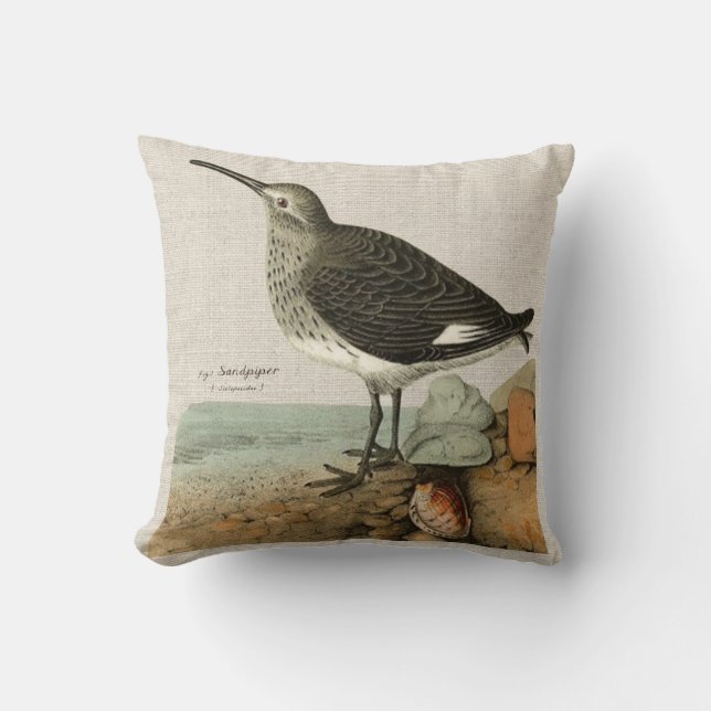  Sandpiper van het Zee Kussen (Voorkant)