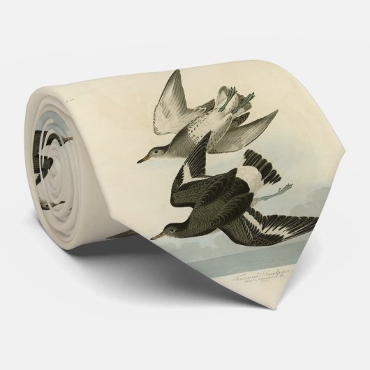 Sandpiper van Townsend - Vogels van Audubon Stropdas (Opgerold)