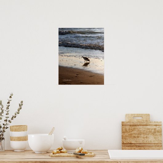SandpiperPoster Poster (Keuken)