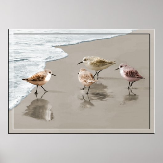 Sandpipers aan de Shore Line Poster (Voorkant)