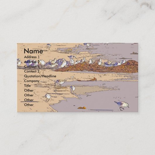 Sandpipers Digital Visitekaartje (Voorkant)