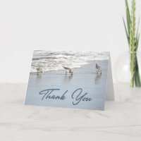 Sandpipers in het Surf Foto Hartelijk dank