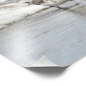 Sandpipers op Beach Large Photo Print Foto Afdruk (Hoek)